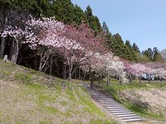 続いて、木古内町のふるさとの森公園。

桜の名所というのを読んで訪れています。