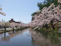 弘前城址公園到着。秋に来たときに停めた駐車場が今回も空いていてすぐ近くでした。
お堀の桜が綺麗に咲いています。