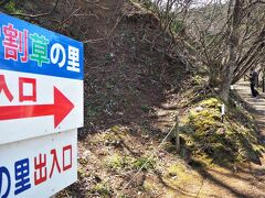 　「大崎雪割草の里」に到着、協力費を払い入園。