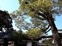 さて、本来の目的地へ♪
空が青い～～。晴れた日に来たかったのよね。サイコー！！