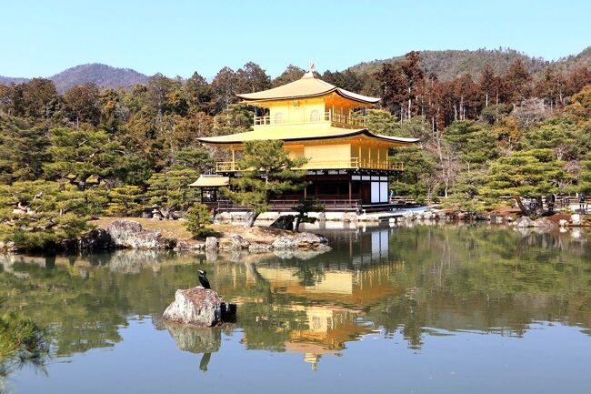 ヒロ ヤマガタ ゴールデン パビリオン 「金閣寺」