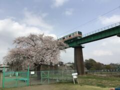 JR八高線を金子から東飯能に走る電車。