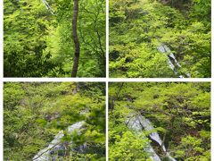 徒歩での移動