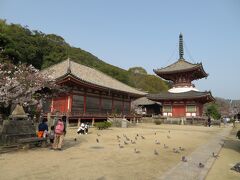尾道市街東のはずれにある浄土寺。