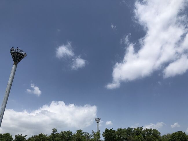 カラフルな富士山に会いたい ゚ ゚ ノお花と雑貨屋さんday 富士五湖 山梨県 の旅行記 ブログ By 七色の海さん フォートラベル カラフルな富士山に会いたい ゚ ゚ ノお花と雑貨屋さんday 富士五湖 山梨県 の旅行記 ブログ By 七色の海さん フォートラベル
