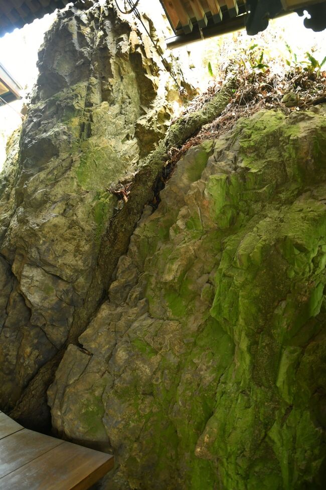 霊験あらたかな狗留孫山 修禅寺へ行く旅 下関 山口県 の旅行記 ブログ By 風待人さん フォートラベル 霊験あらたかな狗留孫山 修禅寺へ行く旅 下関 山口県 の旅行記 ブログ By 風待人さん フォートラベル