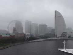 ロイパは雲の中。