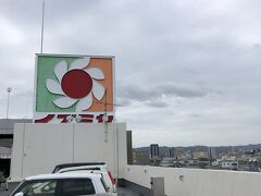 グリーンコーナー イズミヤ和歌山店