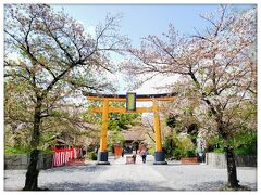 平野神社
北野白梅町駅から徒歩7分
北野天満宮の北門からは歩いてすぐでした。