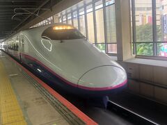 大宮駅8時49分発新潟駅行き、とき307号へ乗車。