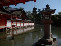 午前中は厳島神社を参拝。