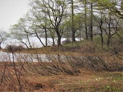 晴れていたら綺麗な檜原湖が見えますよ。