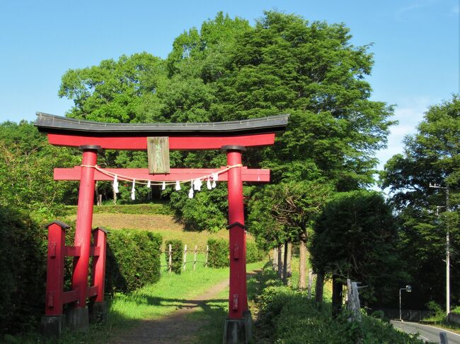 秩父鉄道沿線日帰り散歩①総集編 鉢形城・芍薬園・忍城・水城 秩父鉄道沿線日帰り散歩①総集編 鉢形城・芍薬園・忍城・水城