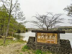 ウポポイ横の星野リゾート建設地を通り過ぎると、いよいよポロトの森（正式名称はポロト自然休養林）です。