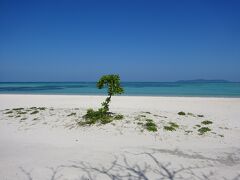 　正面は、尖閣諸島方面です。ここは広大な遠浅のビーチで波も穏やかなので短パンでかなり先まで歩いけ、足元の色鮮やかな魚を見ることができます。ただ遠浅なので泳ぎにくく、遠浅の先は潮の流れが速いため遠泳は禁止のようです。つまり泳ぎな苦手な人には最高のビーチでした。