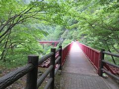 宇奈月温泉・・・豊かな大自然に囲まれた山あいの温泉地

トロッコ電車の発着駅があり、黒部峡谷観光のベースとなり、美肌の湯と食楽しめるスポット

かつてトロッコ電車が走っていた軌道敷と鉄道・トンネルがやまびこ遊歩道として開放されています