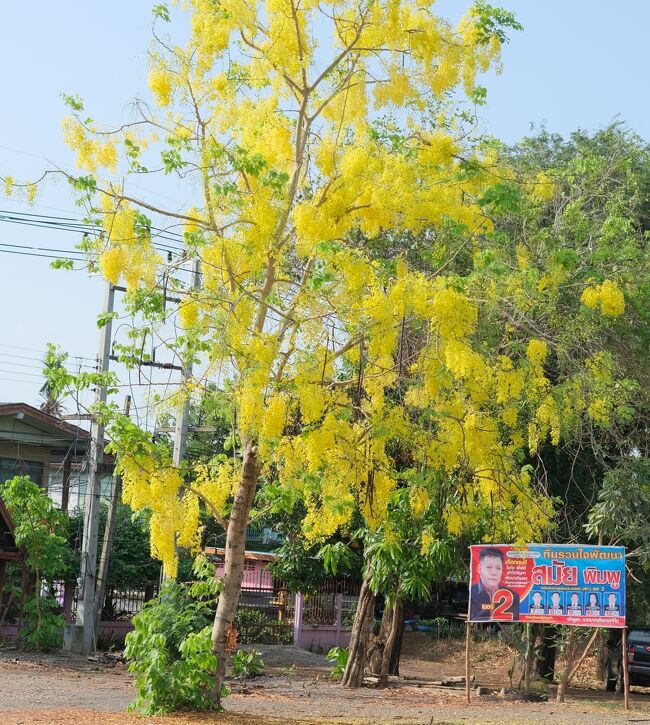 車中から　8：38