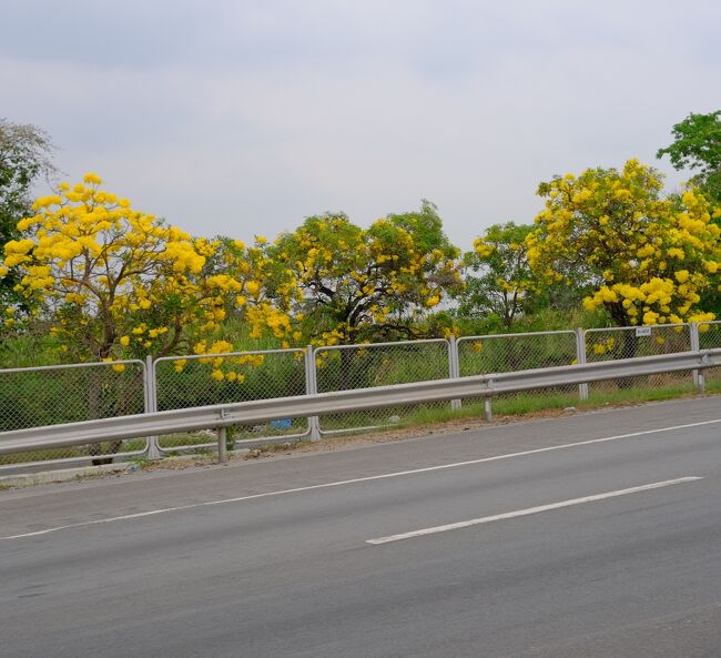 車中から「タベールアン」