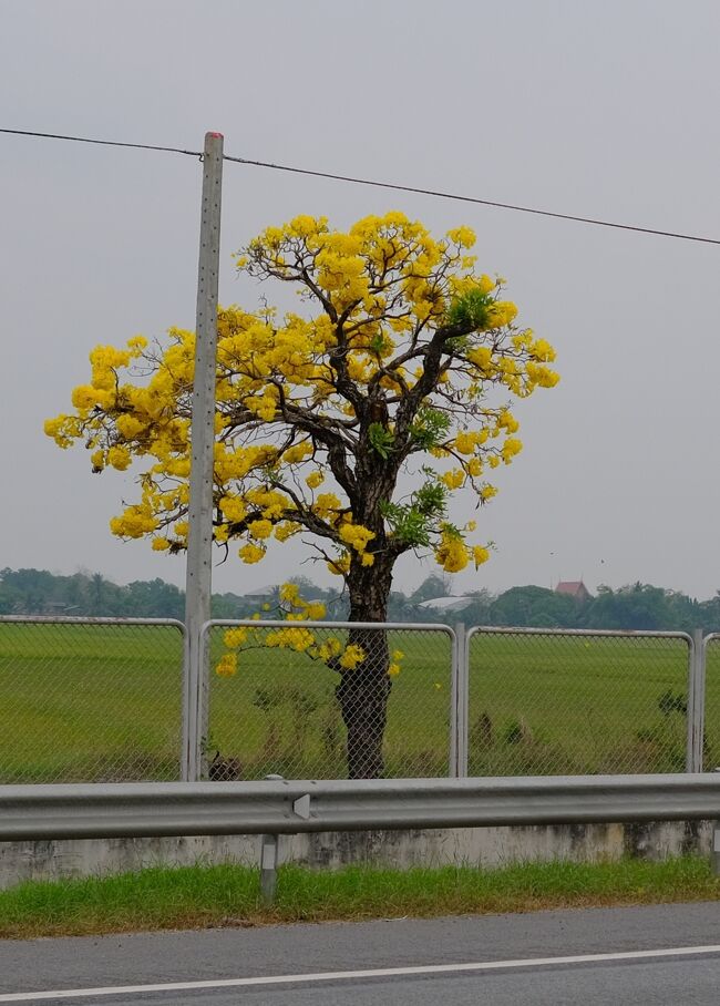 車中から「タベールアン」