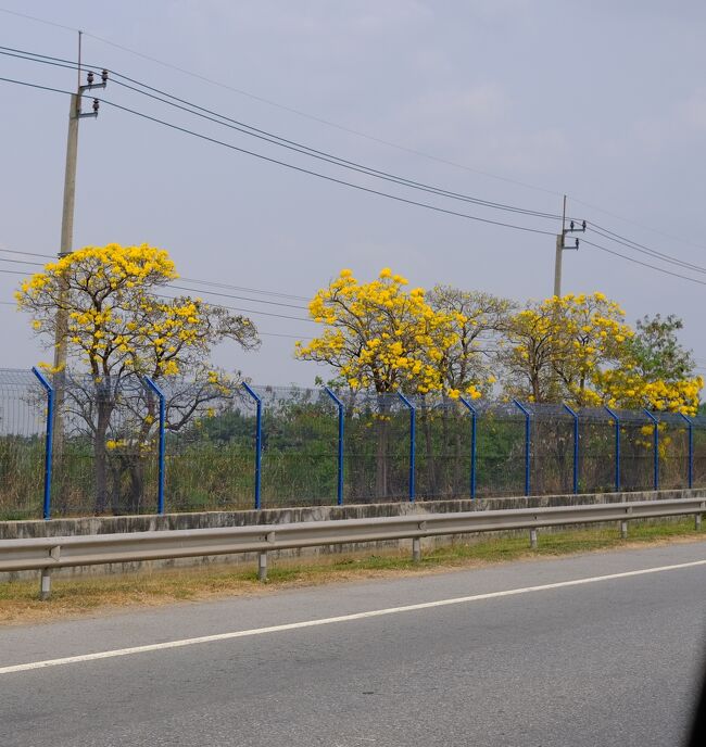 車中から「タベールアン」只今時速100Kmで走行中で一休は後部左座席から撮っています。