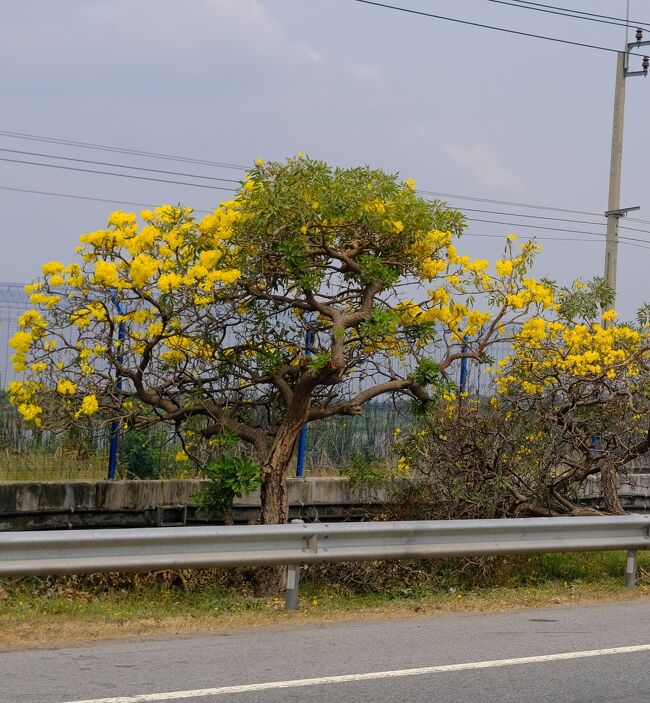 車中から「タベールアン」