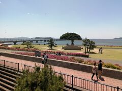 竹島園地越しに見る竹島。眺めがいいです。