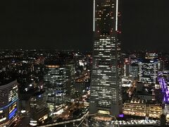 ロイヤルパークホテル横浜周辺の夜景。