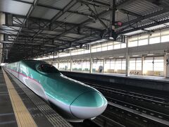 day1
大宮からピューっと東北新幹線で北上して一ノ関で下車。仙台までノンストップだったので早い早い。2回目の緊急事態宣言明けだったのでお客さんも少なかった。。