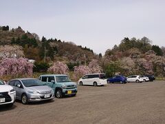 乳頭温泉郷を出て少し走っていくと角館に出ました。最初の駐車場に停めます。