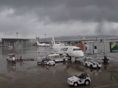 空はどんより曇り空。時々小雨。
お天気がよくなかったのもあり、展望デッキには人がいない…
子供は走り回れて楽しそう♪
今回乗る機体です。
