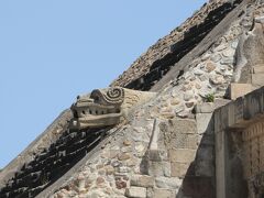 死者の道を引き返して、ケツァルコアトルの神殿（羽毛を持つヘビのピラミッド）を訪問した。

ケツァルコアトルの頭が突き出している。