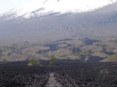 岩手山と約１０００ｍの焼走り自然観察路を歩きます。（１７１９年の噴火によって、山の東側中腹から流出した溶岩が焼け走り溶岩流です。溶岩は粘り気が低いのでこのように大変広がりました。（１６８６－１９３９年に数回爆発しています。）焼け走り溶岩流は植物の回復が遅いと言われています。その為、変遷途上が観察できます。）