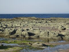 千畳敷（約２００年前の大地震で海底が隆起して出来た岩棚）