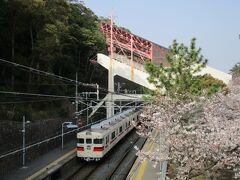 いつ見ても絵になる桜と山陽電車の組み合わせ。