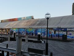 ダーリングハーバー東のロウ人形館・動物園・水族館。どこにも入りませんでした。