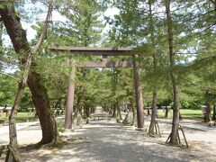 三の鳥居、松の参道の鳥居（中の鳥居）。
参道の中央は、景観保護のため参道の両サイドの道を通る様になっています。

