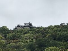 雨(雹も)は上がったので、お散歩しよ～

松山城へはホテルから歩いて行けます。
早速、山の上に発見！