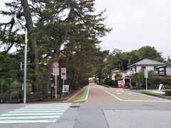 すぐ先の角を曲がると正面の方向が城の中心である。左側の中堀と道路の間に生えているのが「いろは松」。
昔は47本生えていたことから「いろは47字」から名づけられたとのこと。高知から枝が張り出さない土佐松をわざわざ移植した。
ちなみに写真中央の道路は、藩主が江戸から戻り入城する際籠を降りて馬で通る道であった。