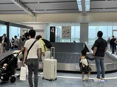 久しぶりの飛行機旅行、とても楽しかったです。
感染対策かなり気を遣っていました。
早く普通に旅行ができるようになってほしいです。

今回はリッツ、少し残念な点が多くて・・・
やはり私は山に囲まれてるより海沿いのほうが好きです。
そして、親目線では子連れにはハイアットのほうがよかったです。
（テントはとっても喜んでいたのでよかったですが）