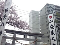 京急川崎大師駅おりてすぐにある「金山神社」のかなまら祭りに行きました
お天気はあいにくの雨(降ったり止んだり)なのに、すごい人でした
1/3くらい外国人だったと思います