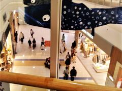 食後は、イオンモールをぶらぶら♪

5月なので鯉のぼりが＾＾