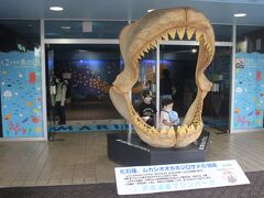 さて、イルカのショーの時間になったので油壺マリンパークへ。
入場したところにある大きなサメの口のオブジェ。
記念撮影スポットです。