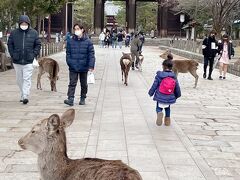 12月31日（木）
車で奈良へ。
東大寺観光。