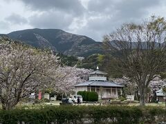 川沿い桜並木の上流の終わり頃に道の駅 花の三聖苑 伊豆松崎があります。