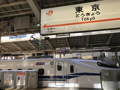 東京駅に到着しました。

普通の乗車券なら東京駅から東京都区内などの足が付いているのですが、「ぷらっとこだま」には付いてないので定期を持ってるルートで帰ります。
たまには新幹線もいいですね。たまには...