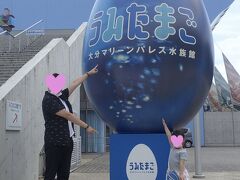 続いては水族館うみたまごへ。