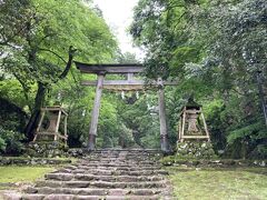 一の鳥居があります　しばらく緑の写真しかありません　だって苔むす神社なんだからしょうがない