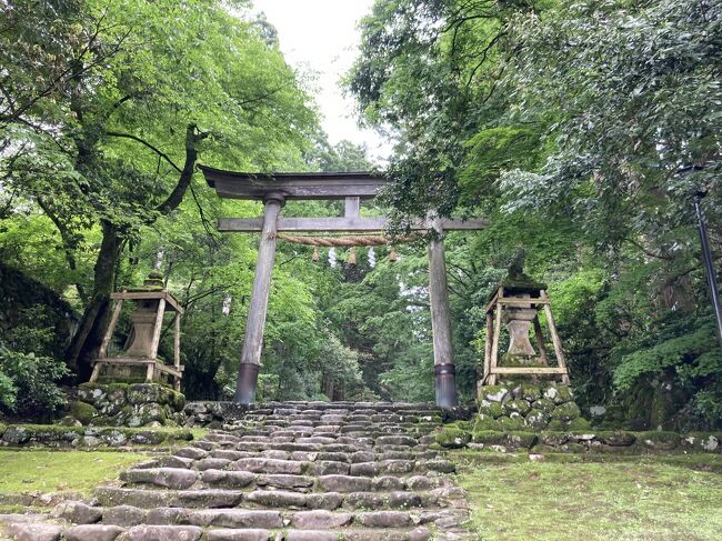 JALで行く日帰り福井勝山☆苔宮平泉寺白山神社・日本一大きい