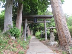 常楽寺の駐車場の向かい側に別所神社の木造鳥居があります。趣ある高い木々の並木参道を歩きました。
