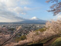 新倉山浅間公園（あらくらやませんげんこうえん）で富士山と桜を観賞。